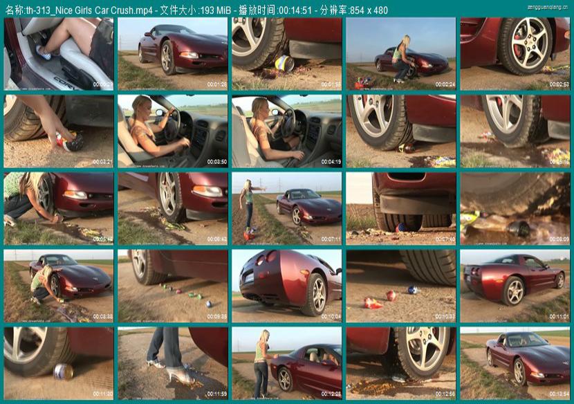 th-313_Nice Girls Car Crush